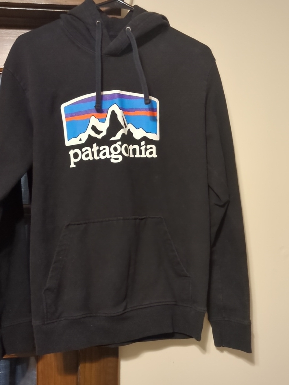 Patagonia Black Pullover Hoodie with Multicolor Mountain Logo